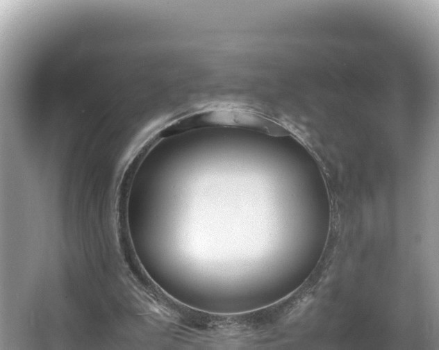 X0000067340199200604071400