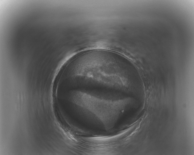 X0000067340200200604071400