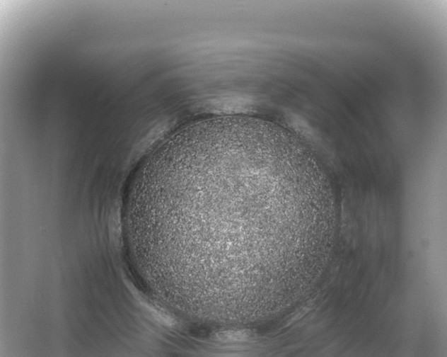 X0000067340202200604071400