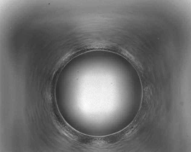 X0000067340203200604071400