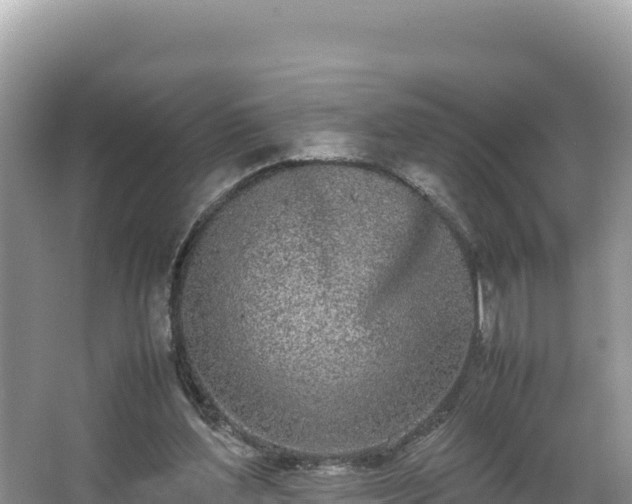 X0000067340204200604071400