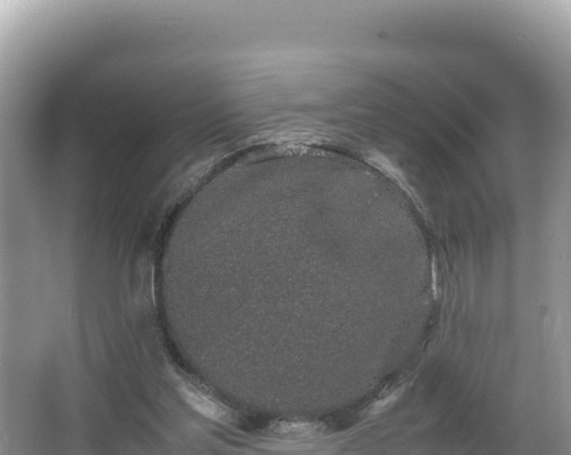 X0000067340205200604071400