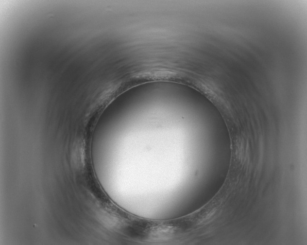 X0000067340206200604071400