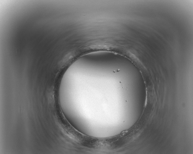 X0000067340207200604071400