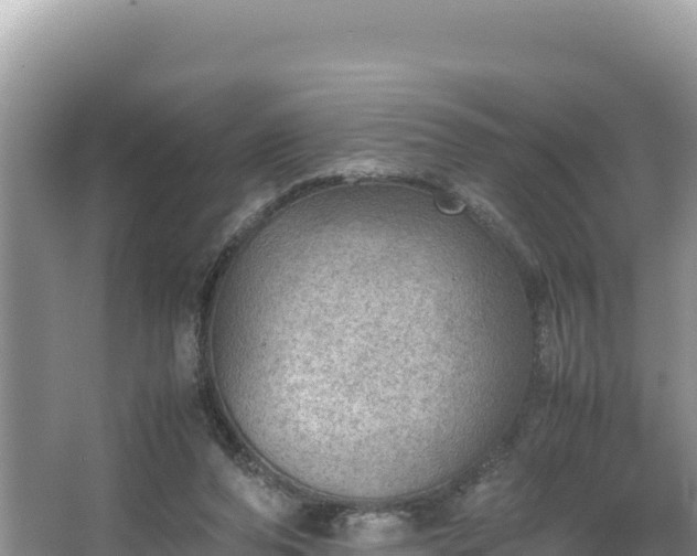 X0000067340208200604071400