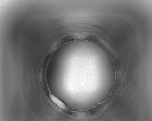 X0000067340209200604071400