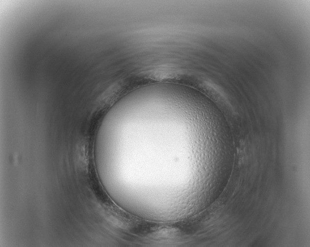 X0000067340210200604071400