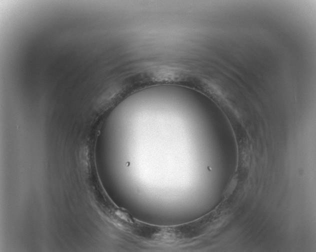 X0000067340211200604071400