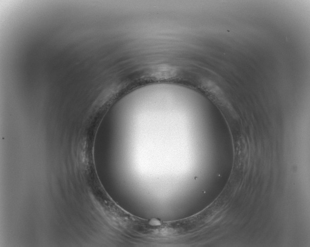 X0000067340212200604071400