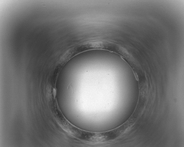 X0000067340213200604071400