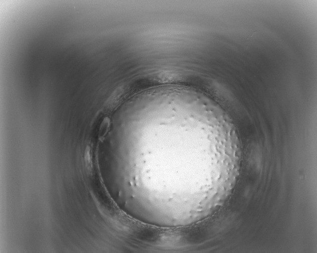 X0000067340214200604071359