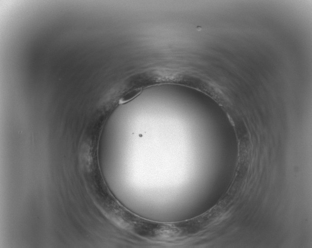 X0000067340215200604071359