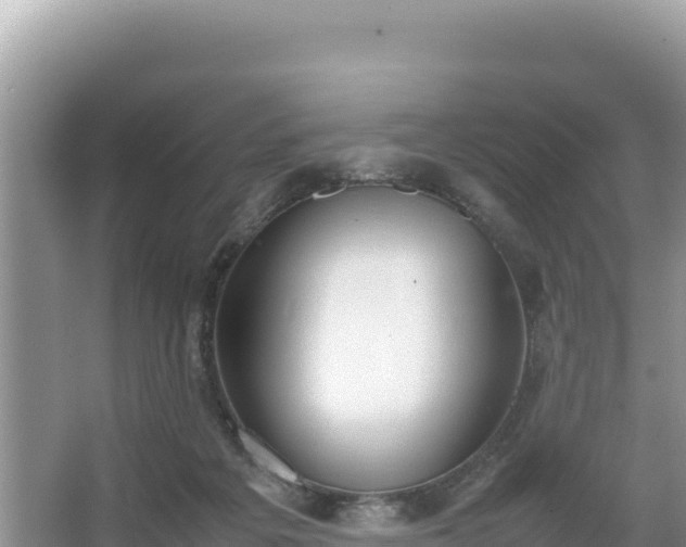 X0000067340217200604071359