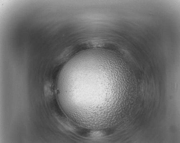 X0000067340218200604071359