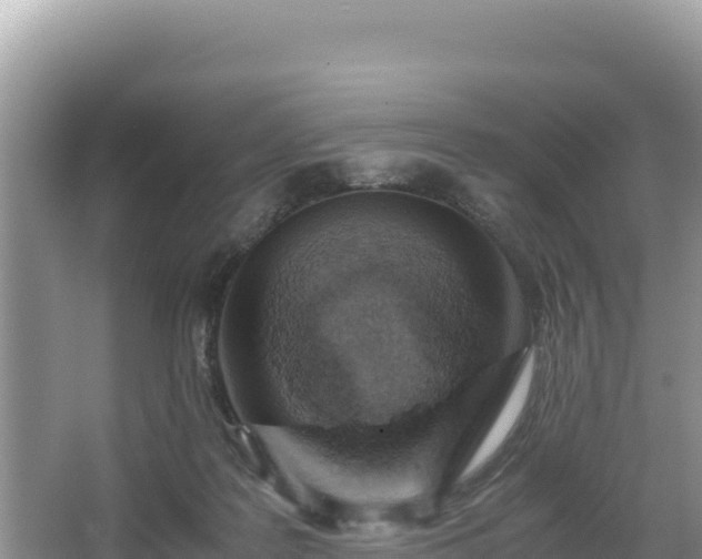 X0000067340219200604071359