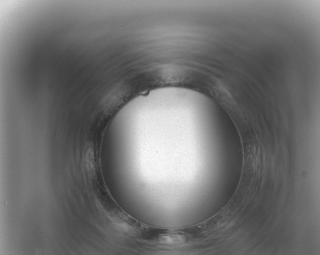 X0000067340220200604071359