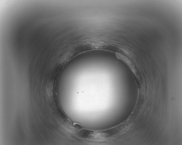 X0000067340221200604071359