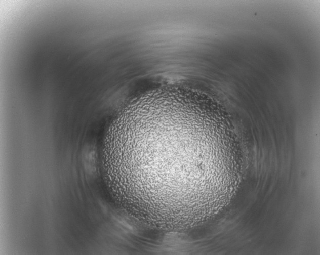 X0000067340222200604071359