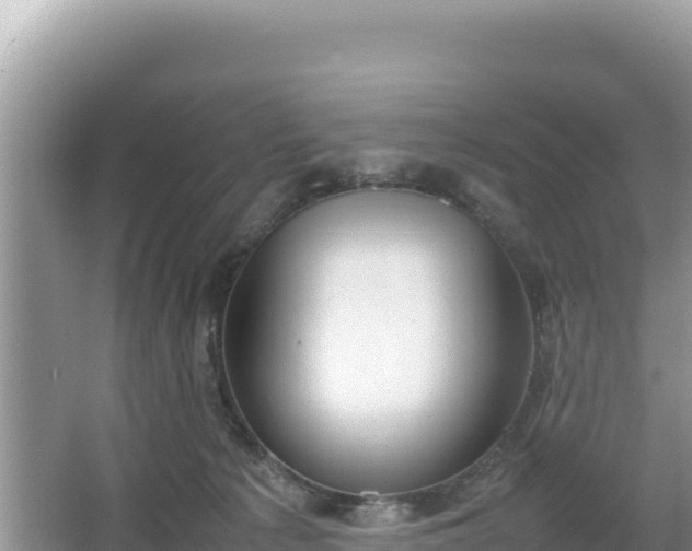 X0000067340225200604071359