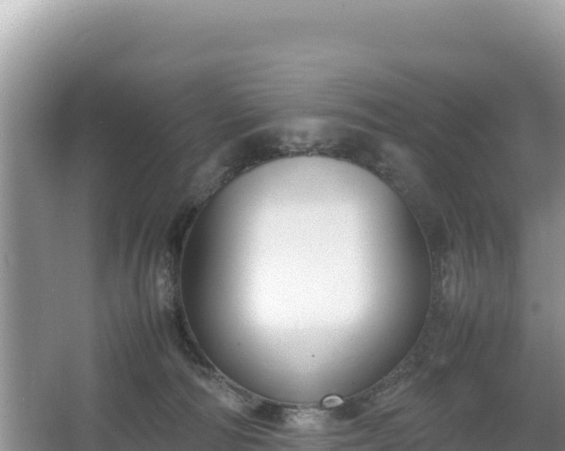 X0000067340226200604071359