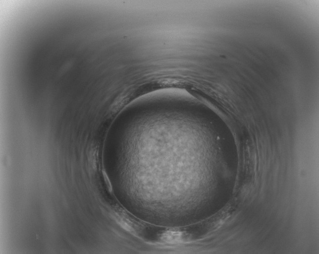 X0000067340227200604071359