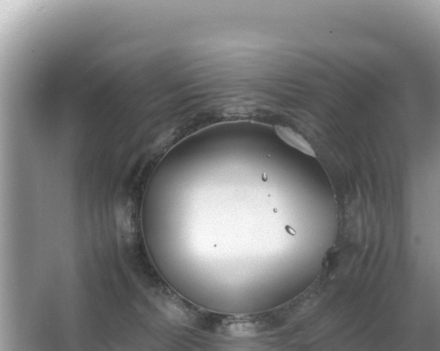 X0000067340228200604071359