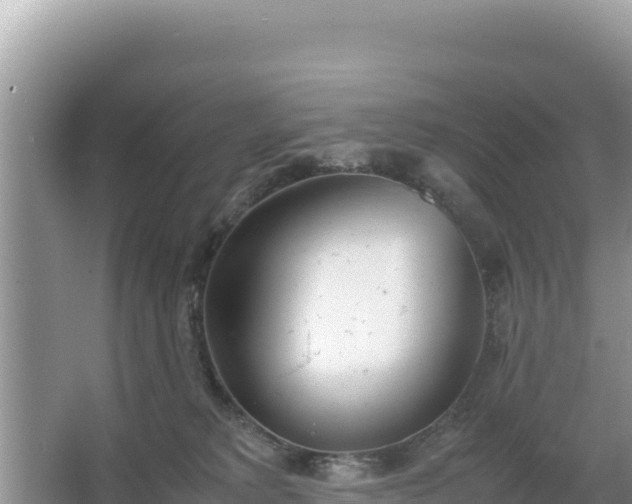 X0000067340229200604071359