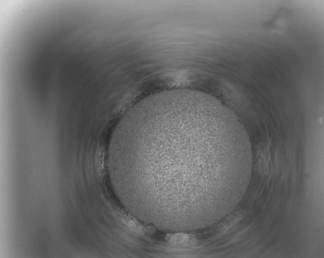 X0000067340230200604071359