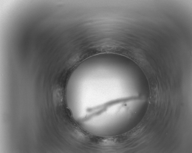 X0000067340232200604071359