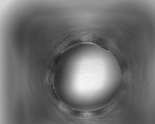 X0000067340233200604071359