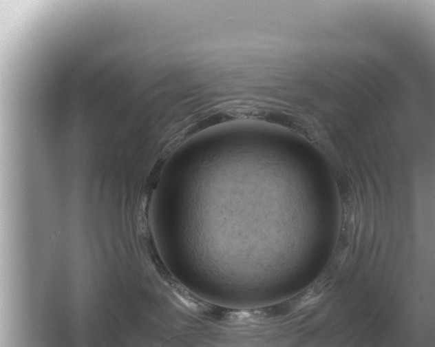 X0000067340239200604071359