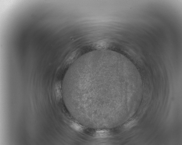 X0000067340240200604071359