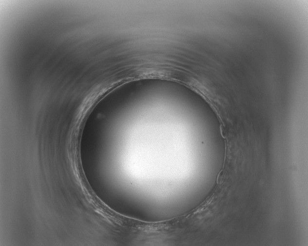 X0000067340241200604071358