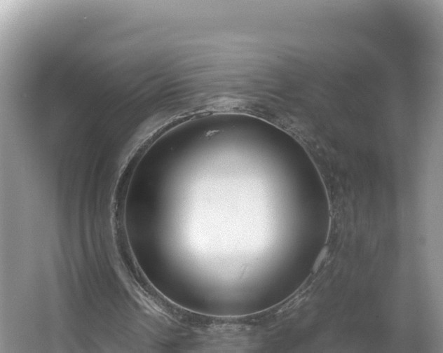 X0000067340242200604071358