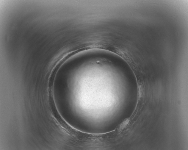 X0000067340243200604071358