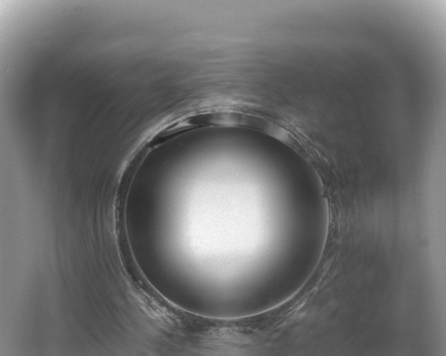 X0000067340244200604071358