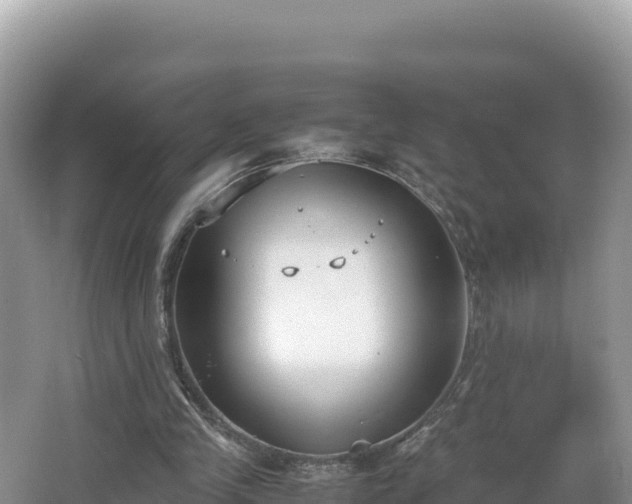 X0000067340245200604071358