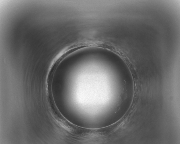 X0000067340246200604071358