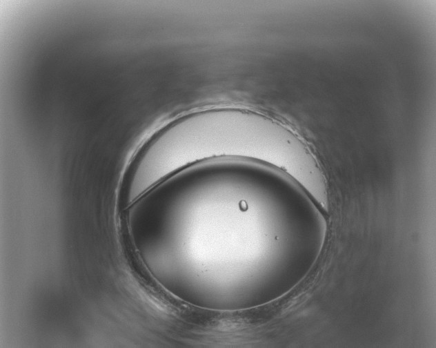 X0000067340248200604071358