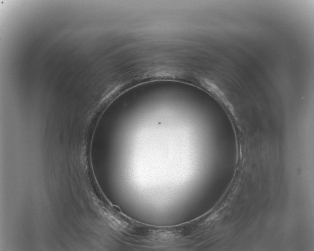 X0000067340249200604071358