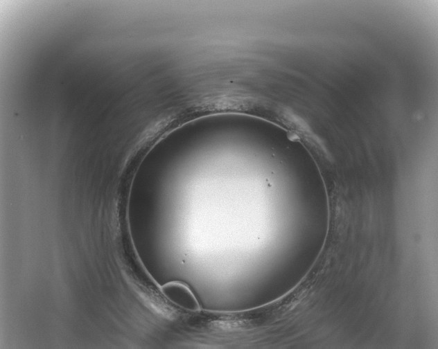 X0000067340250200604071358