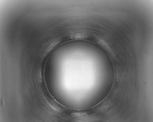 X0000067340251200604071358