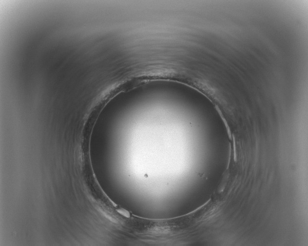 X0000067340252200604071358