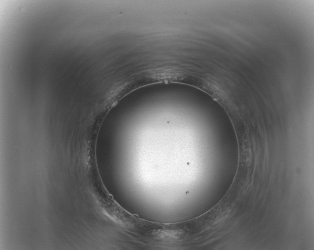 X0000067340255200604071358