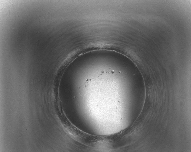 X0000067340256200604071358