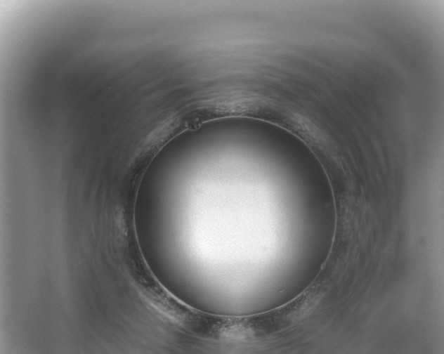 X0000067340258200604071359