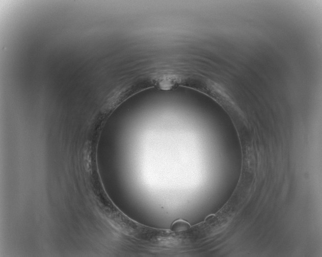 X0000067340259200604071359