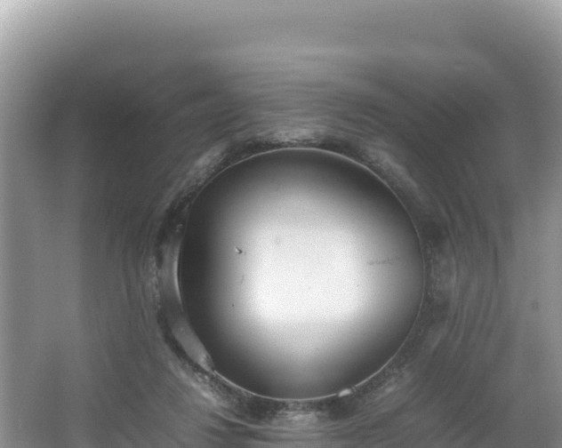 X0000067340260200604071359