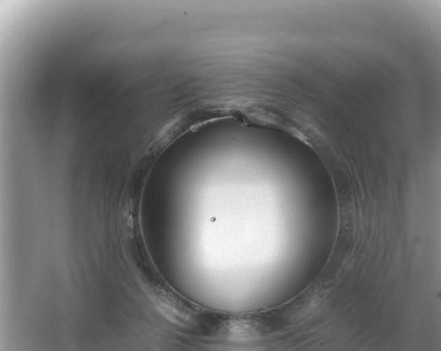 X0000067340264200604071359