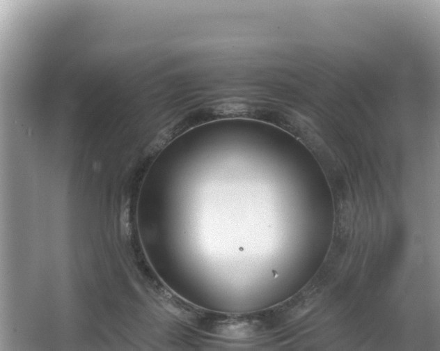 X0000067340267200604071359